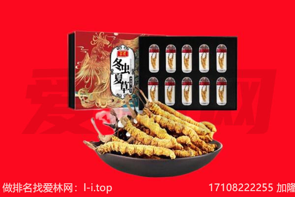 贵德县虫草回收